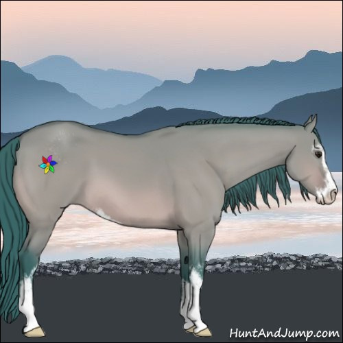Horse Color:Watercolor Bay Dun Sabino 