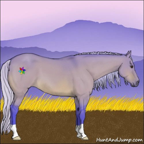 Horse Color:Watercolor Silver Bay Dun