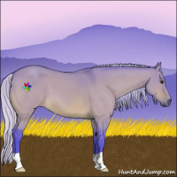 Horse Color:Watercolor Silver Bay Dun 