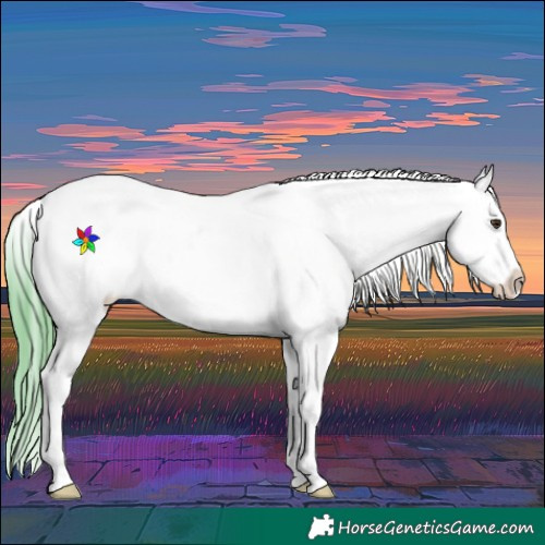Horse Color:Watercolor Red Dun Roan Sabino Blanket