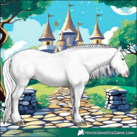 Horse Color:Watercolor Silver Amber Champagne Ice Appaloosa Rabicano