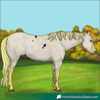 Horse Color:Watercolor White Spotted Liver Red Dun Ice 