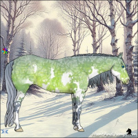 Horse Color:Watercolor Brown Ice Splash 