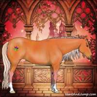 Horse Color:Watercolor Silver Brown 