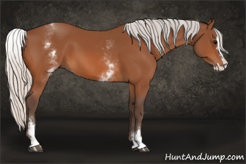 Horse Color:White Spotted Silver Bay Splash 