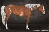 Horse Color:White Spotted Silver Bay Splash 