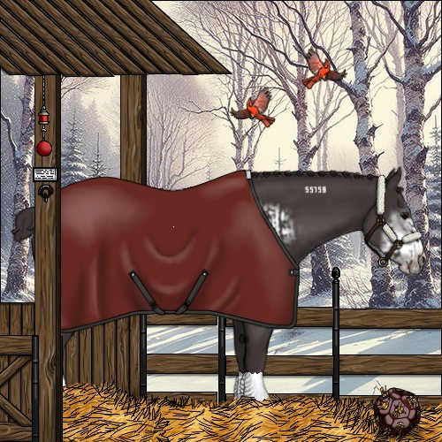 Horse Color:Smoky Black  and Smoky Black Frame 