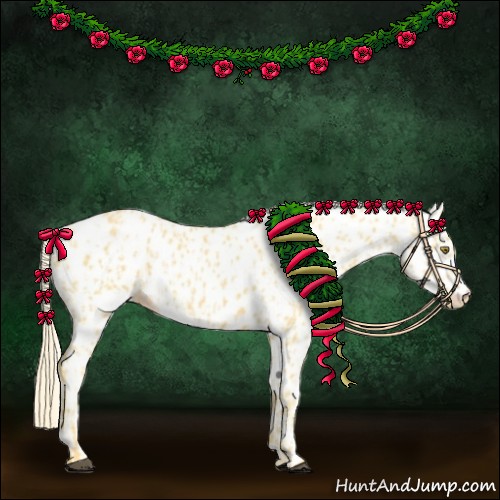 Horse Color:Palomino Appaloosa and Palomino Appaloosa