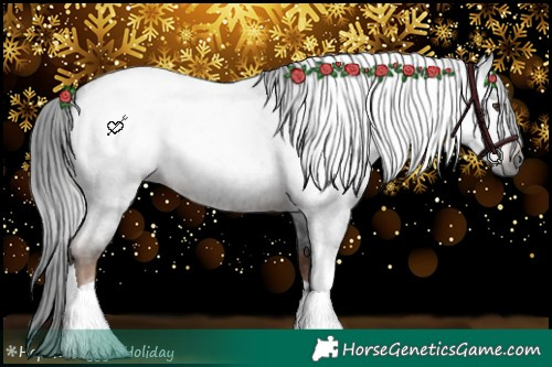Horse Color:Gray Liver Red Roan Tobiano
