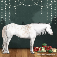 Horse Color:Red Dun Appaloosa  and Gray Red Dun Appaloosa 