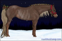 Horse Color:Liver Chestnut Rabicano 