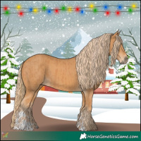 Horse Color:Chestnut  and Chestnut 
