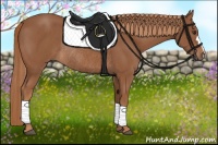 Horse Color:Chestnut Rabicano 