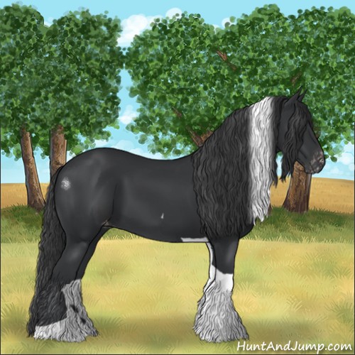 Horse Color:Black Tobiano Varnish