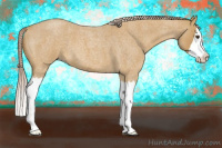 Horse Color:Palomino Roan Splash