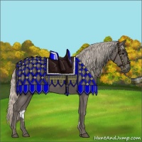 Horse Color:Silver Black 