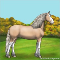 Horse Color:Gold Champagne Splash