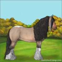Horse Color:Bay Roan Dun Tobiano