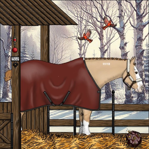 Horse Color:Red Dun Splash 