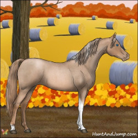 Horse Color:Liver Red Roan Pearl Tobiano Frame