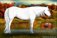 Horse Color:Gray Bay