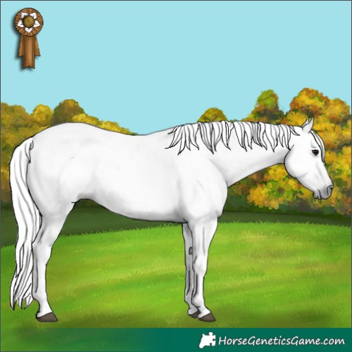 Horse Color:Gray Silver Black 