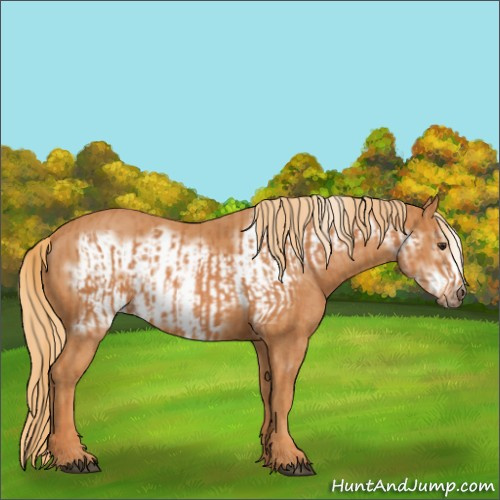 Horse Color:Chestnut and Chestnut Frame