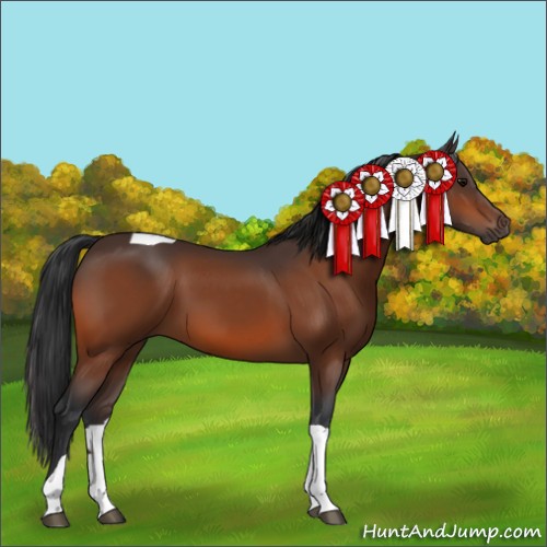 Horse Color:Bay Tobiano Rabicano 