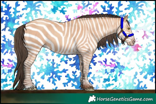 Horse Color:Amber Champagne Rabicano 