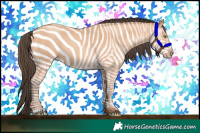 Horse Color:Amber Champagne Rabicano 