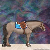 Horse Color:Classic Champagne Rabicano