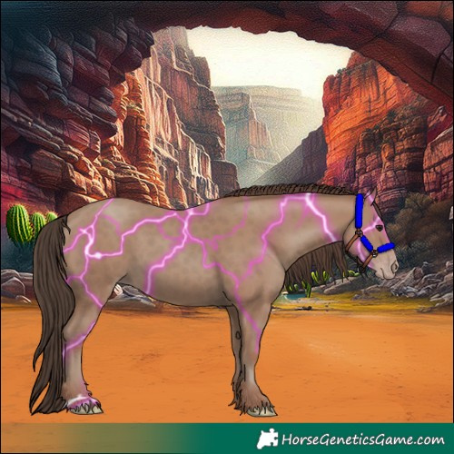 Horse Color:Classic Champagne Rabicano 