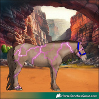 Horse Color:Classic Champagne Rabicano 