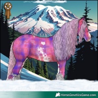 Horse Color:Watercolor Plaid  White Spotted Silver Brown Splash Tobiano 