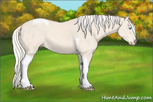 Horse Color:Cremello Tobiano 