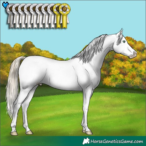 Horse Color:White Spotted Liver Chestnut Pearl Snowflake Varnish