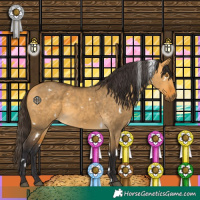 Horse Color:White Spotted Buckskin Dun Rabicano