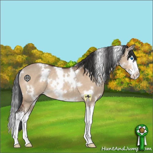 Horse Color:White Spotted Bay Dun Splash Rabicano 