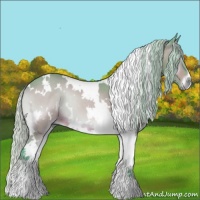 Horse Color:Watercolor White Spotted Silver Bay Onyx 