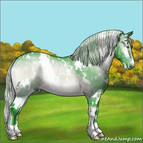 Horse Color:Watercolor White Spotted Silver Brown Chinchilla Ice Onyx Rabicano 