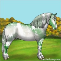 Horse Color:Watercolor White Spotted Silver Brown Chinchilla Ice Onyx Rabicano 