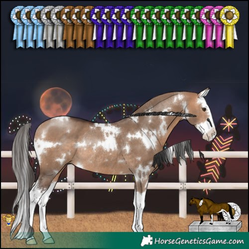 Horse Color:White Spotted Bay Dun Splash Rabicano 
