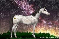Horse Color:Smoky Grullo Ice Mushroom Tobiano 