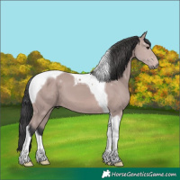 Horse Color:Platinum Bay Tobiano 