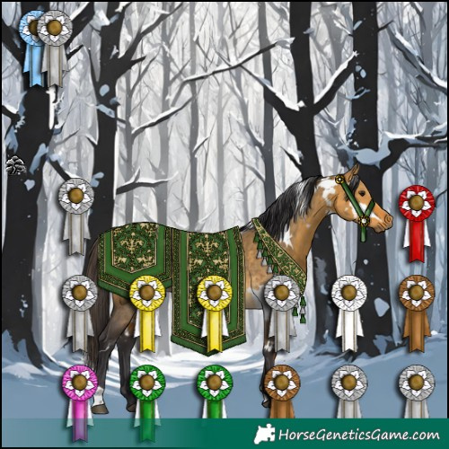 Horse Color:White Spotted Buckskin Dun 