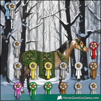 Horse Color:White Spotted Buckskin Dun