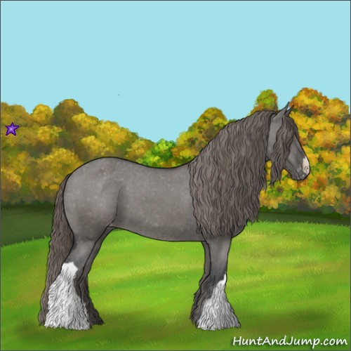 Horse Color:Grullo Appaloosa 