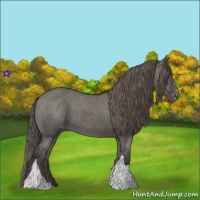 Horse Color:Grullo Varnish 