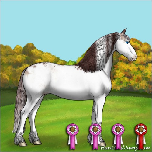 Horse Color:Chocolate Brown Onyx Sabino Splash Appaloosa 