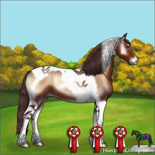 Horse Color:Chocolate Brown Onyx Tobiano